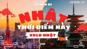có nên đi nhật thời điểm này 2024