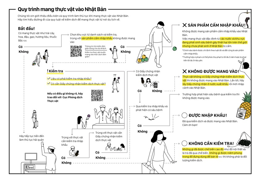 Quy trình mang thực vật vào Nhật Bản