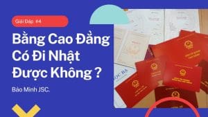 Bằng Cao Đẳng Có Đi Nhật Được Không? Giải Đáp Chi Tiết