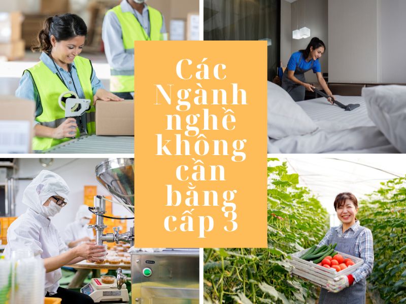 Các ngành nghề không cần bằng cấp 3 tại Nhật