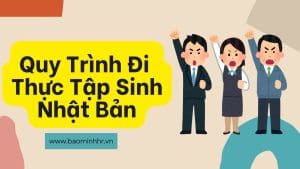 Quy Trình Đi Thực Tập Sinh Nhật Bản