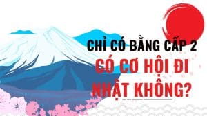 bằng cấp 2 đi nhật được không