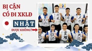 bị cận có thể đi xuất khẩu lao động nhật được không?