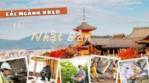 Các Ngành Xuất Khẩu Lao Động Nhật Bản