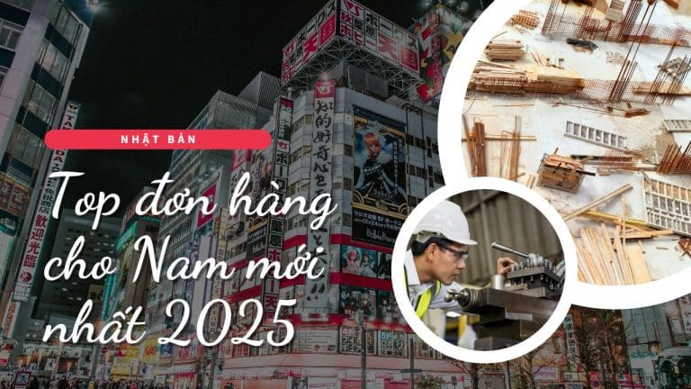 các đơn hàng đi nhật cho nam mới nhất